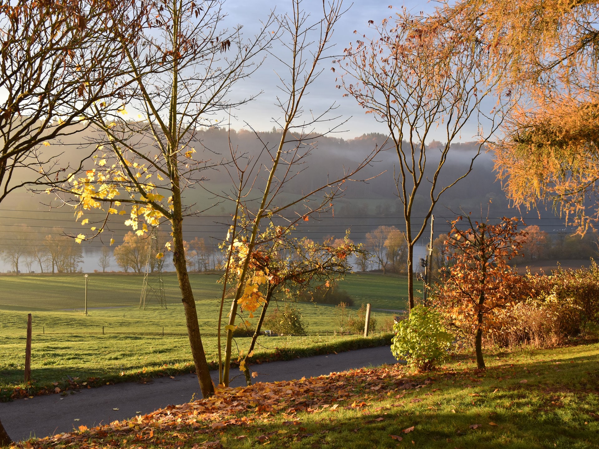 Wohlensee im Herbst